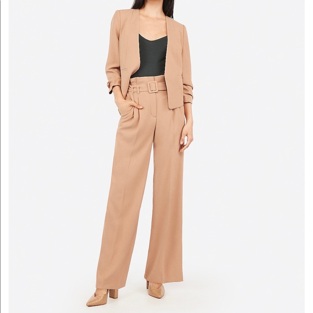 Express dress pants